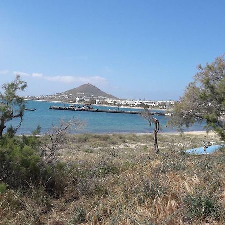 Chez Irene Sweet Pension Naxos City Ngoại thất bức ảnh