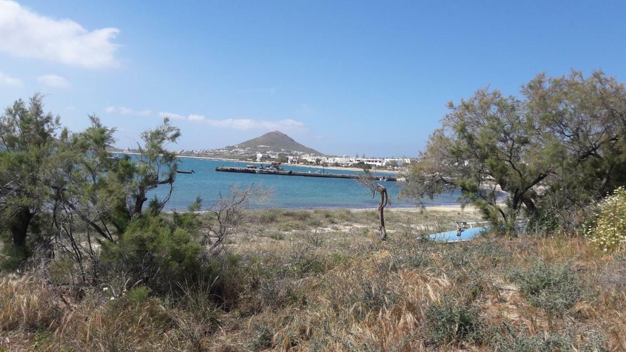 Chez Irene Sweet Pension Naxos City Ngoại thất bức ảnh