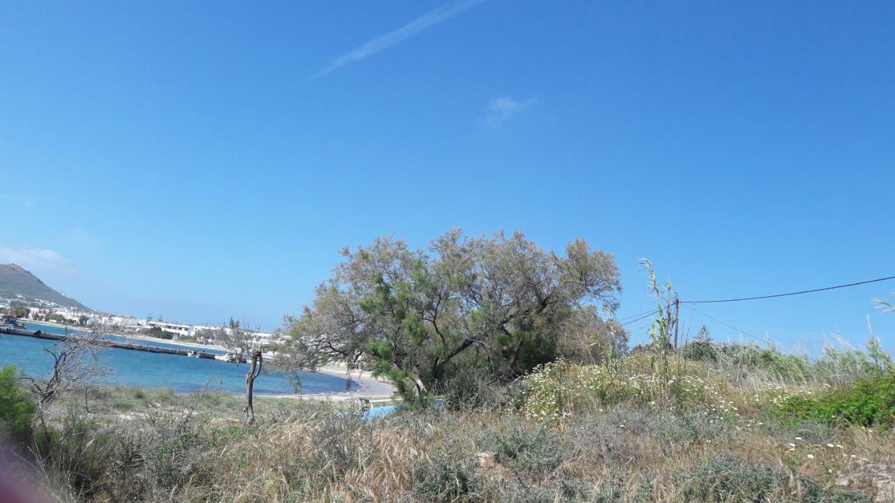 Chez Irene Sweet Pension Naxos City Ngoại thất bức ảnh